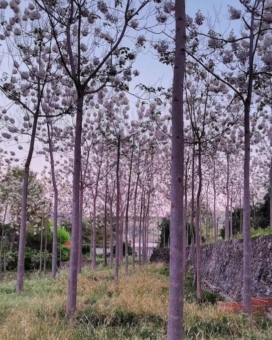 La Caseta De Rotova - Casa Rural Para Desconectar Exterior foto