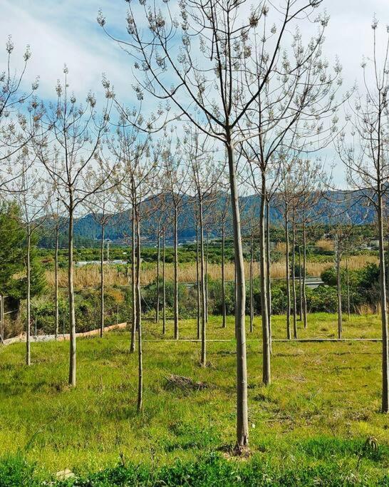 La Caseta De Rotova - Casa Rural Para Desconectar Exterior foto